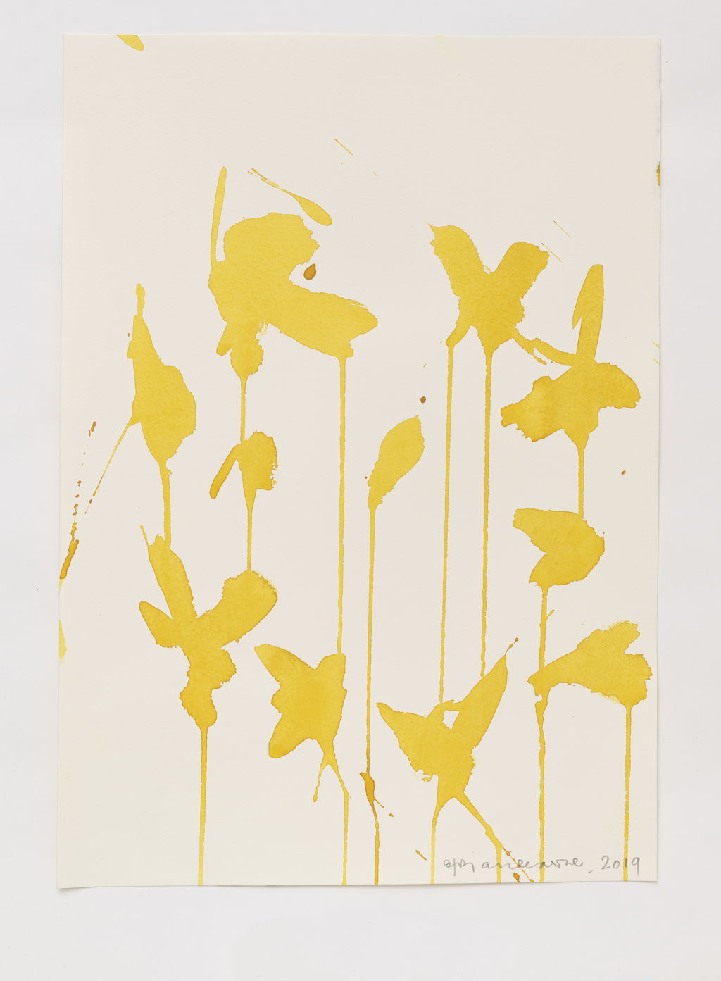 Daffodils main image