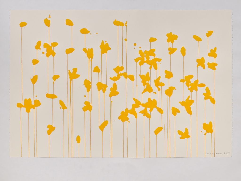 Daffodils main image