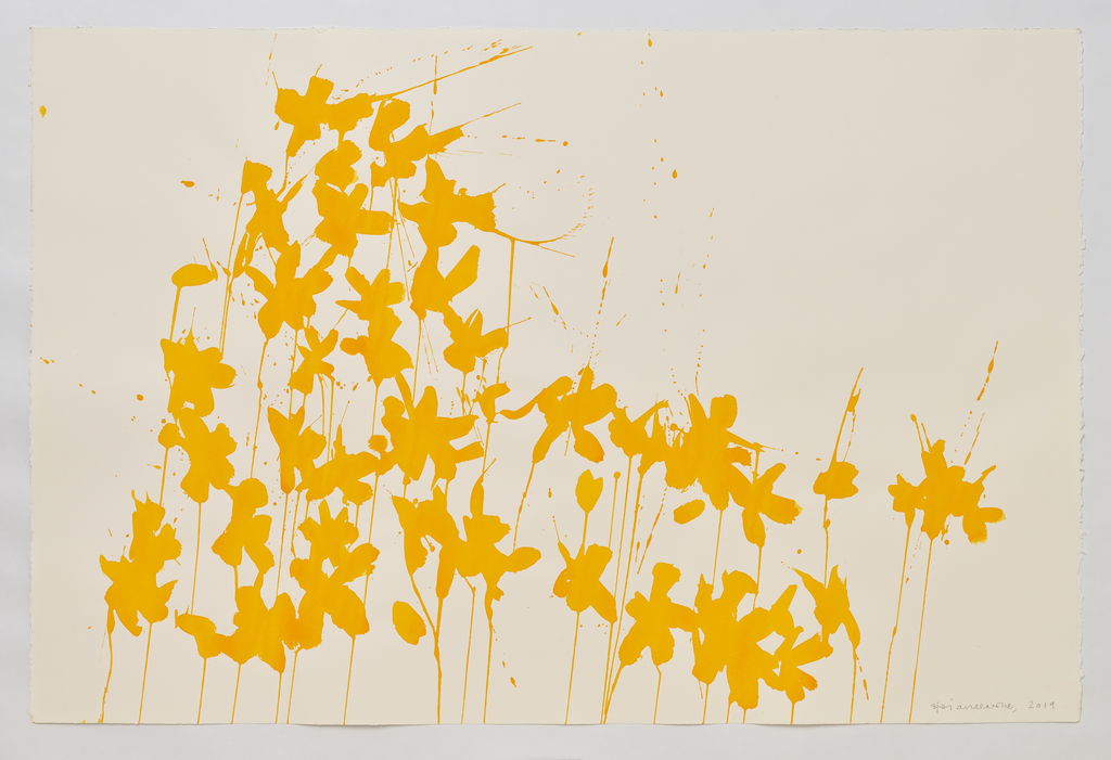 Daffodils main image