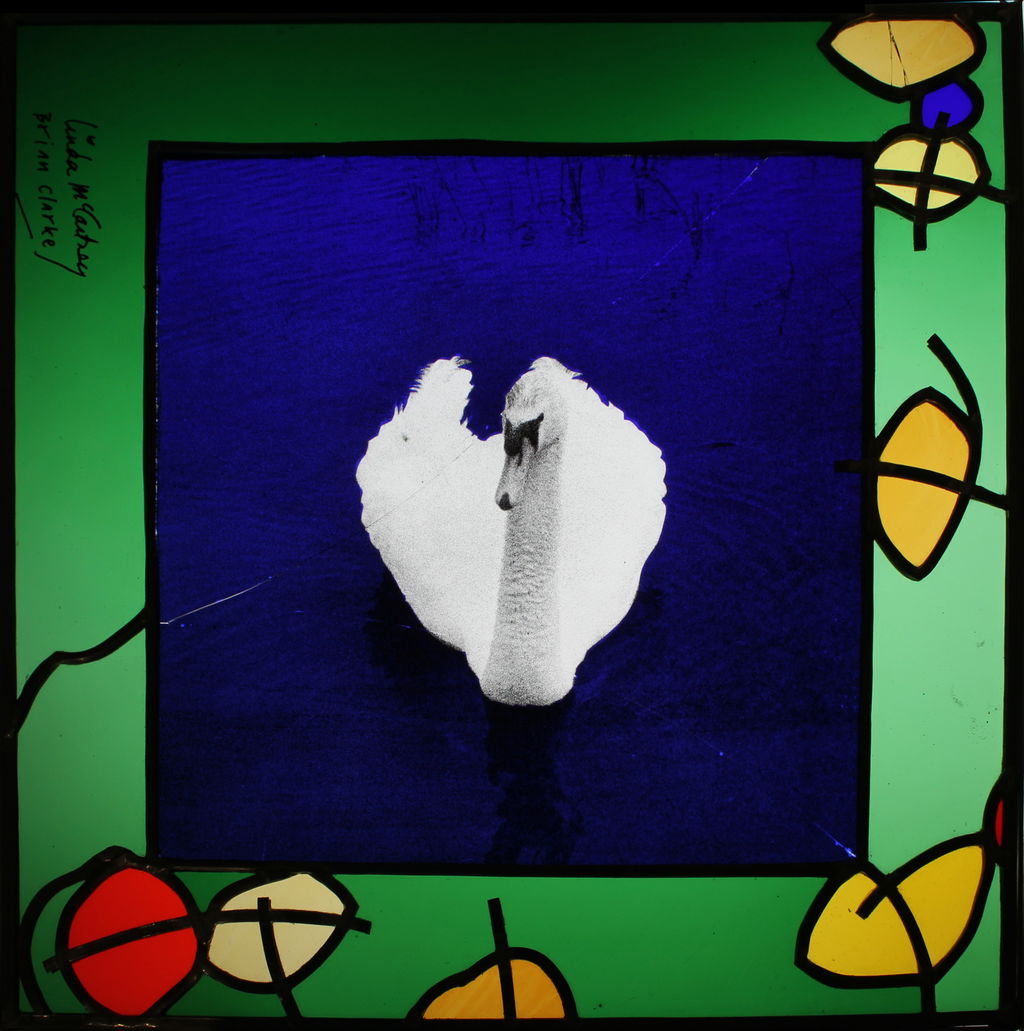 Untitled (Swan) main image