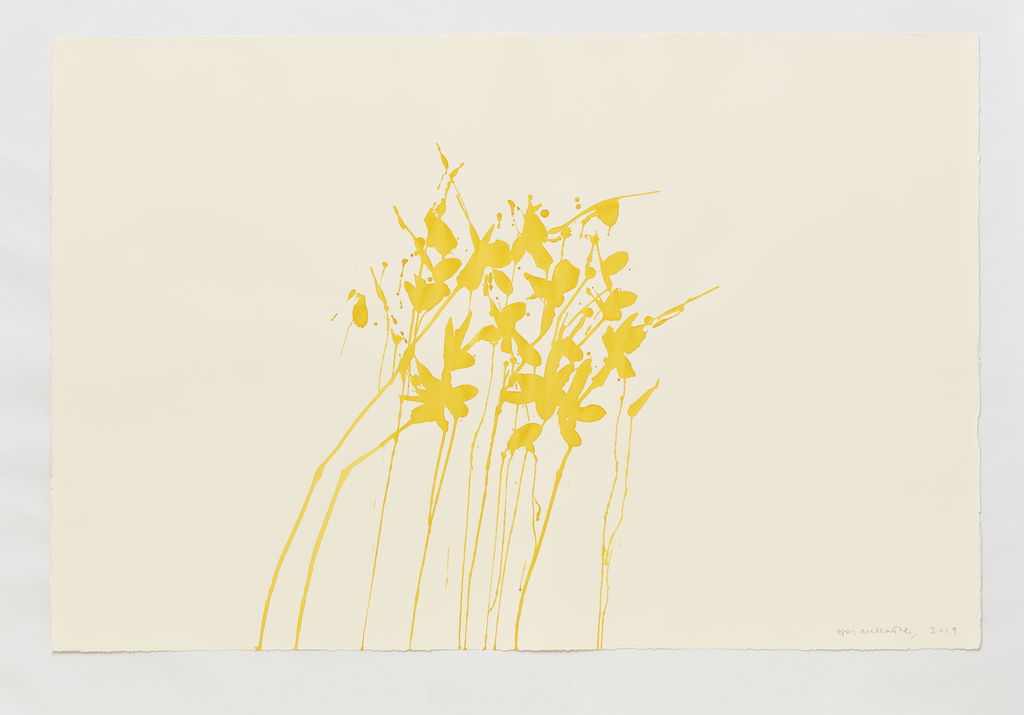 Daffodils main image