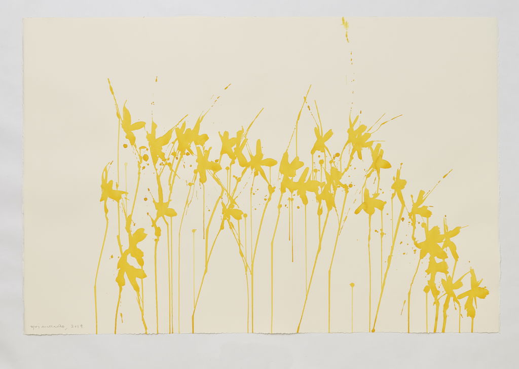Daffodils main image