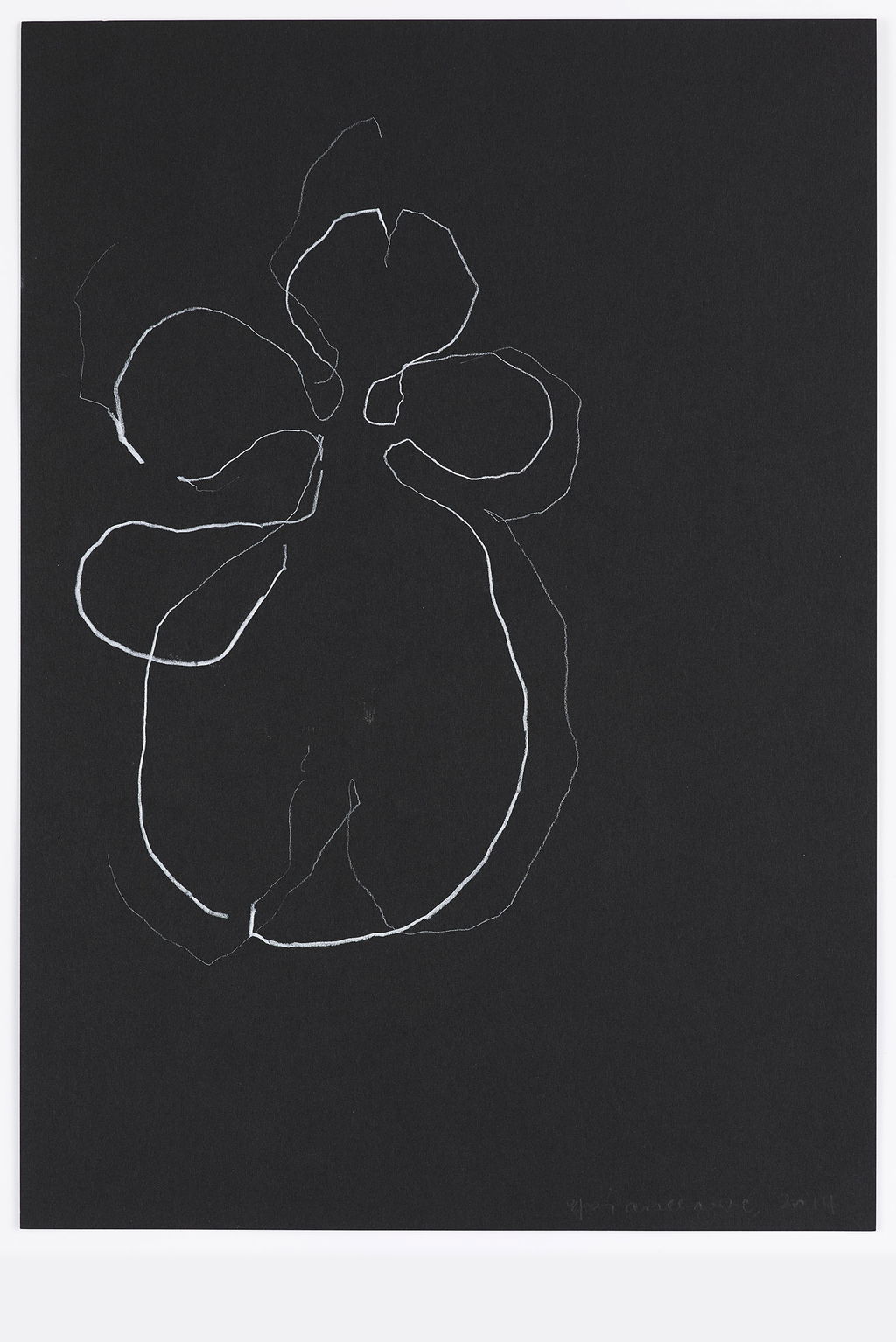 Night Orchid 30 main image