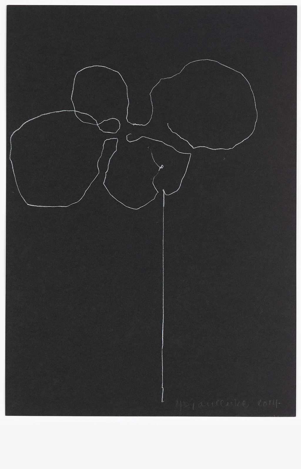 Night Orchid 67 main image