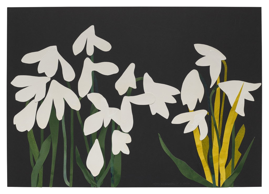 Untitled main image