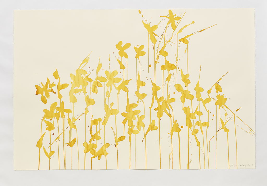 Daffodils main image