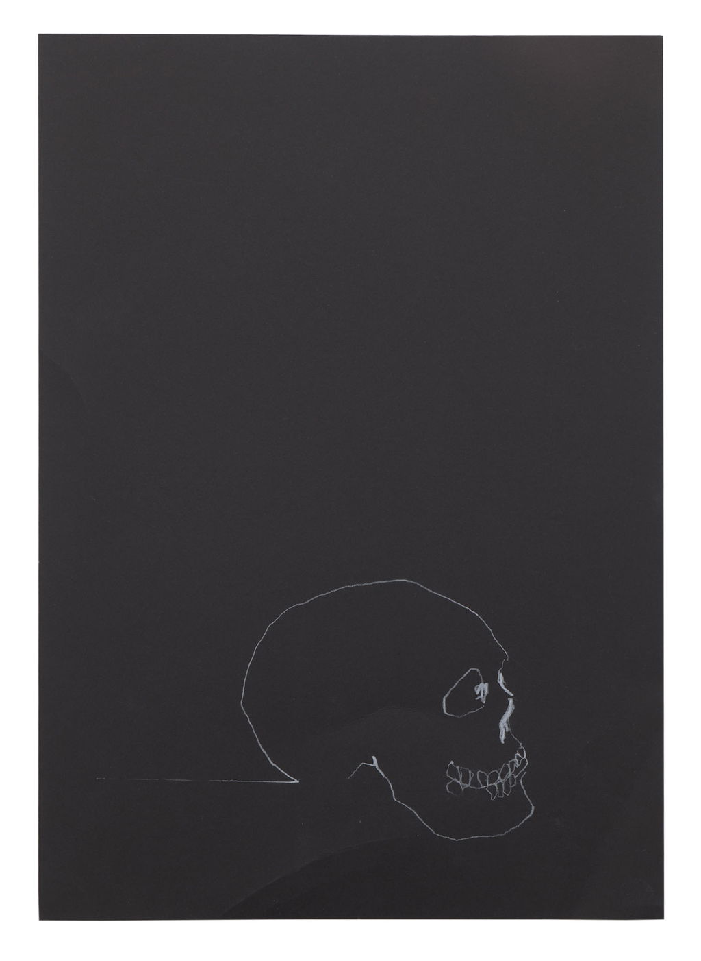 Skull Study 29 main image