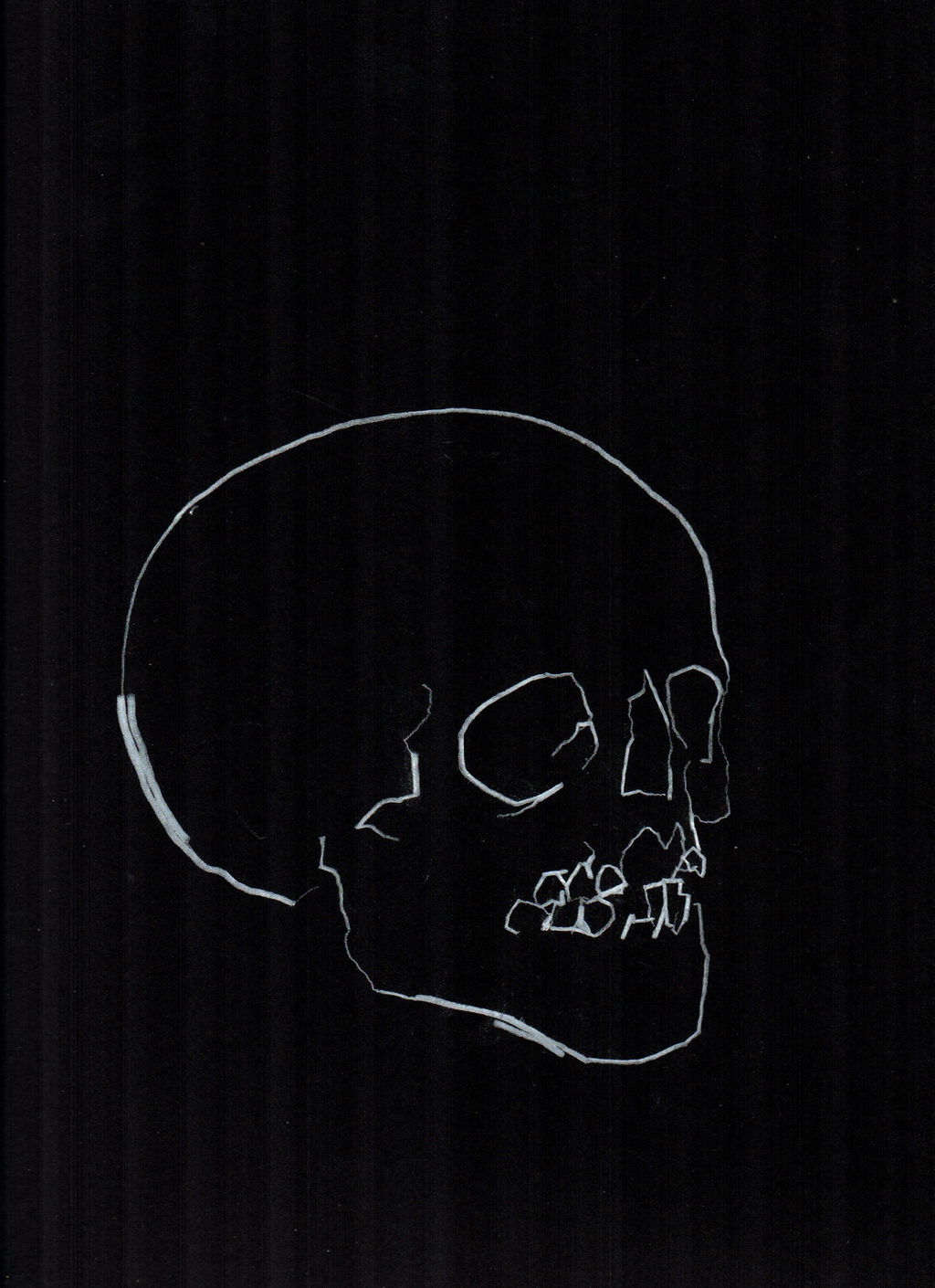 Skull Study 11 main image
