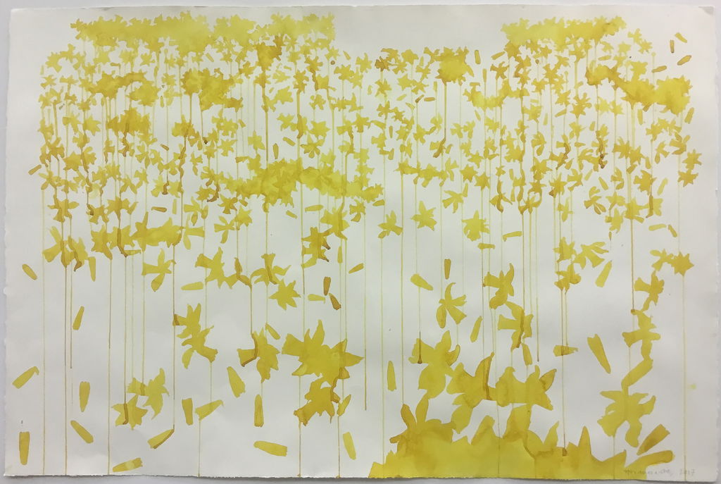 Study 1 for Daffodil stained glass screen