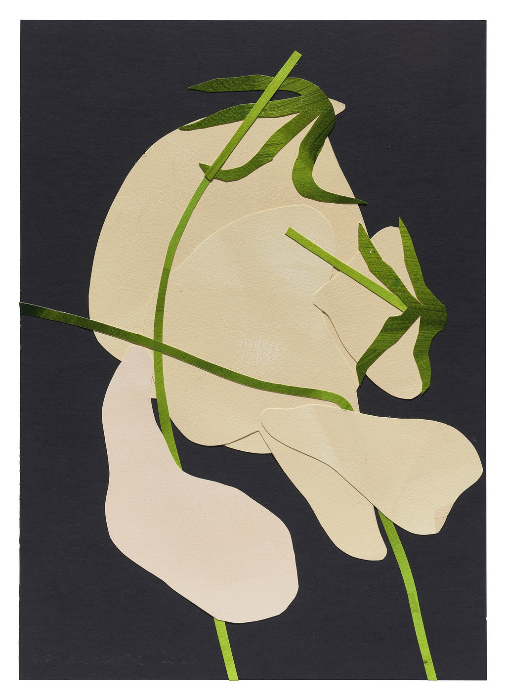 Untitled main image
