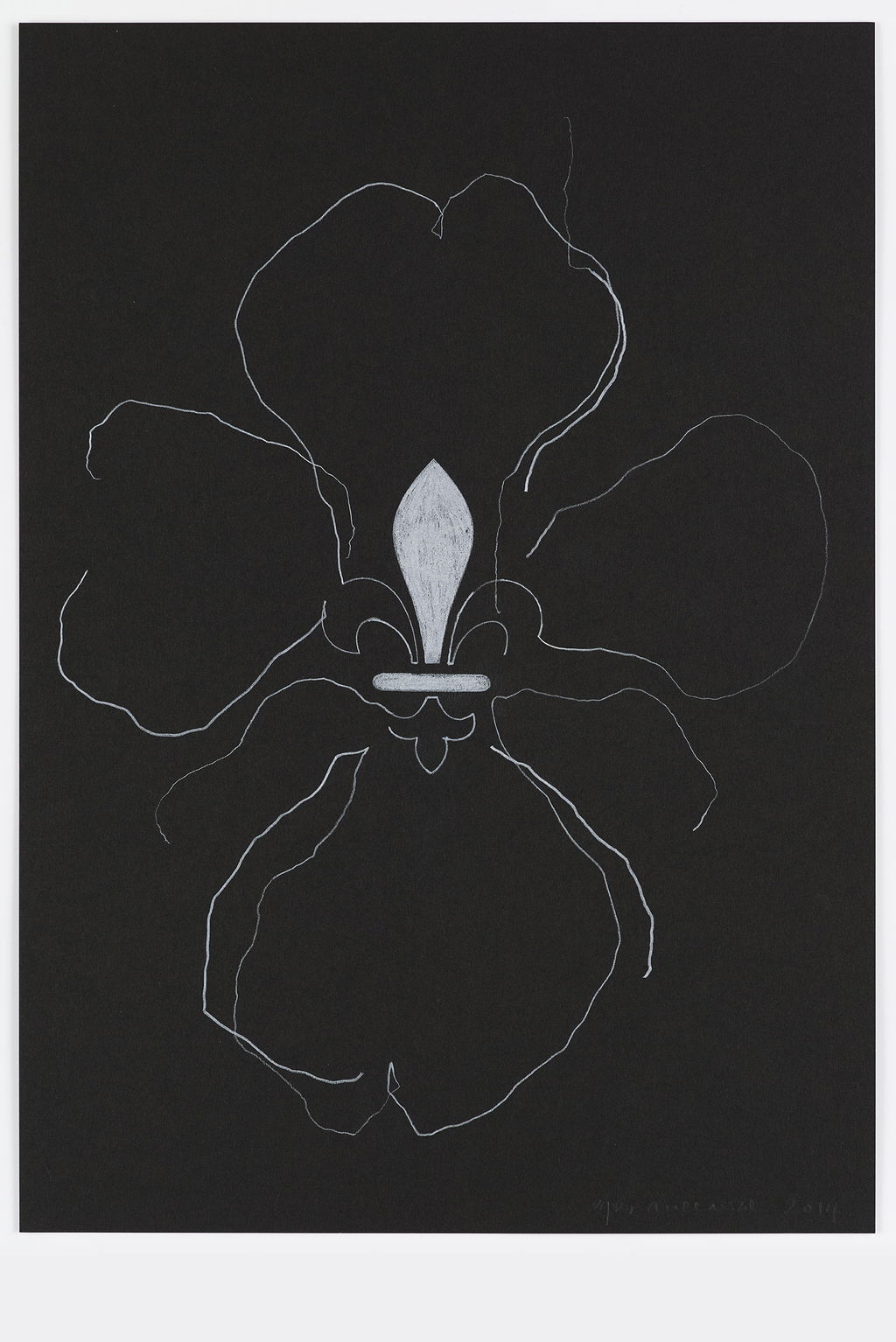 Night Orchid 76 main image