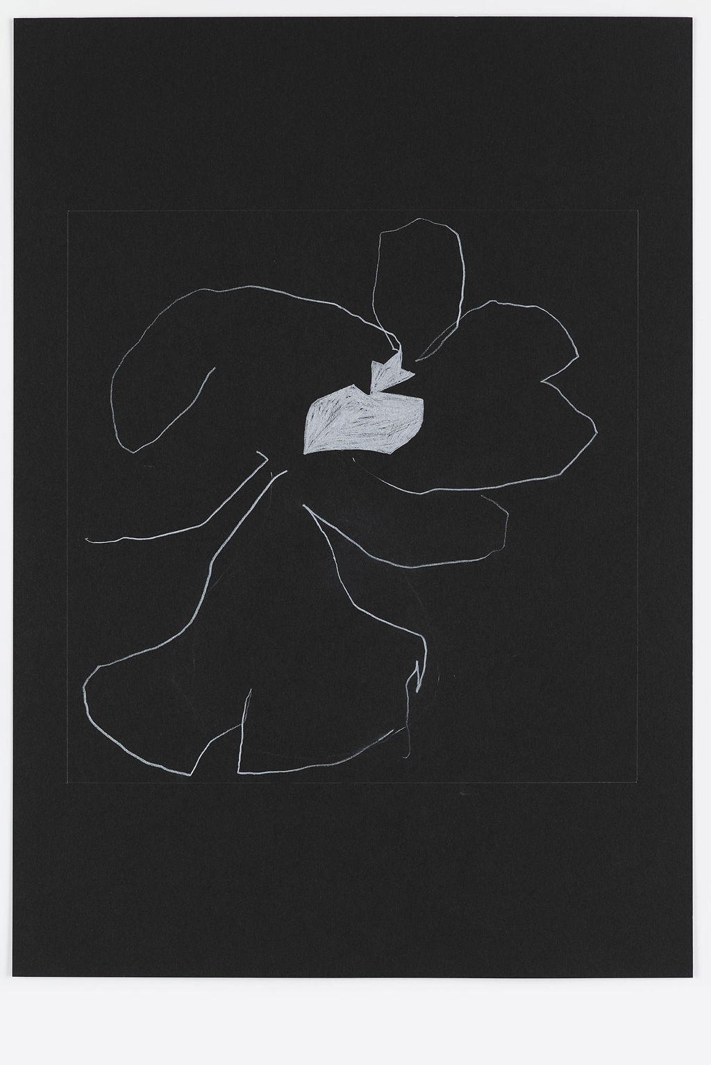 Night Orchid 103 main image