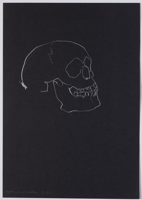 Skull Study main image
