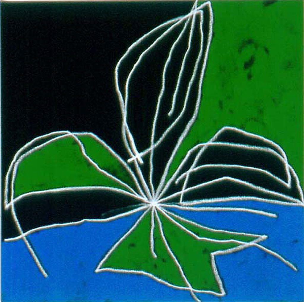 Untitled main image