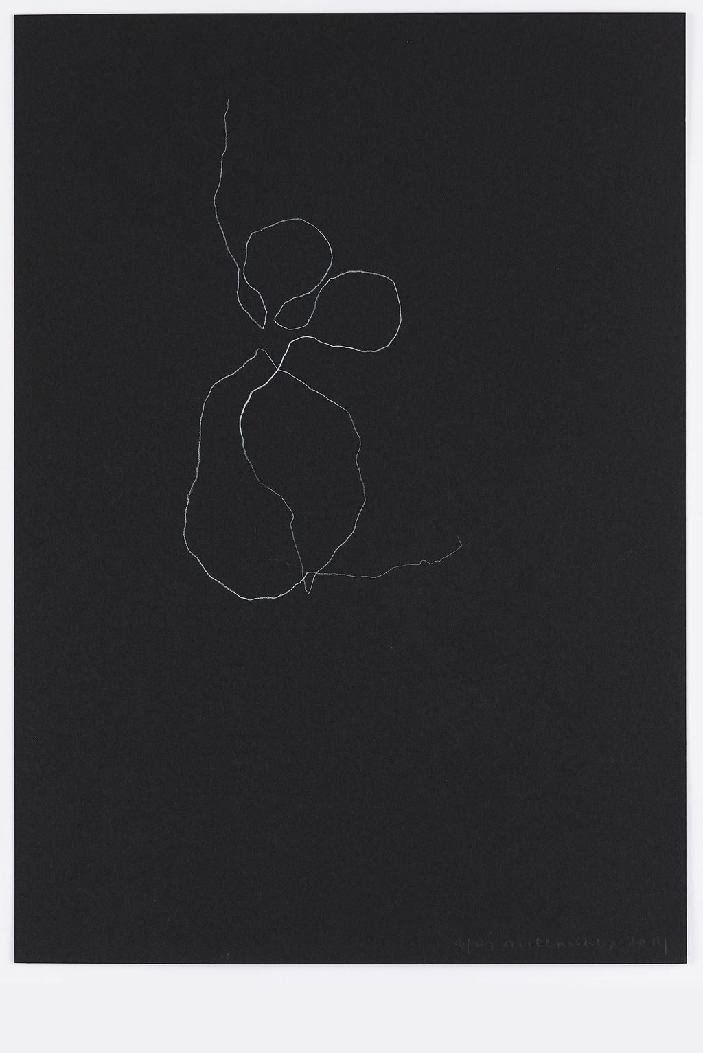 Night Orchid 13 main image