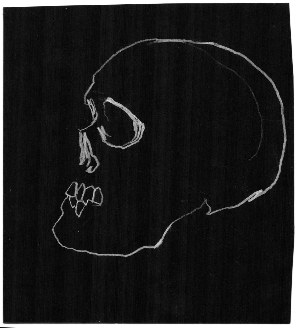 Skull Study 9 main image