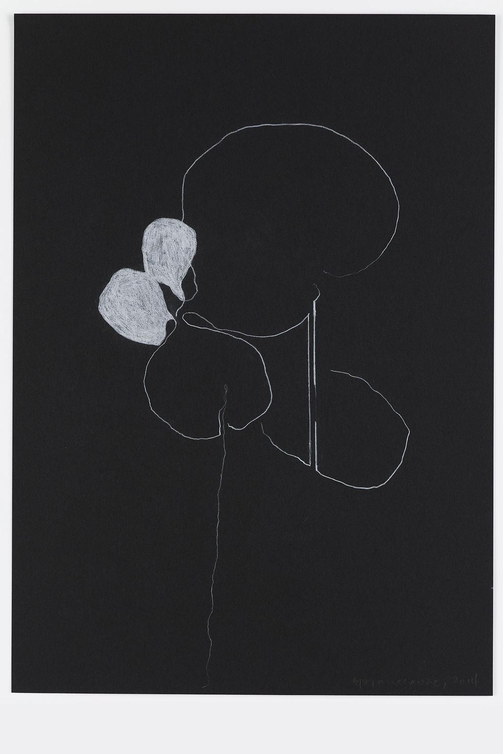 Night Orchid 72 main image