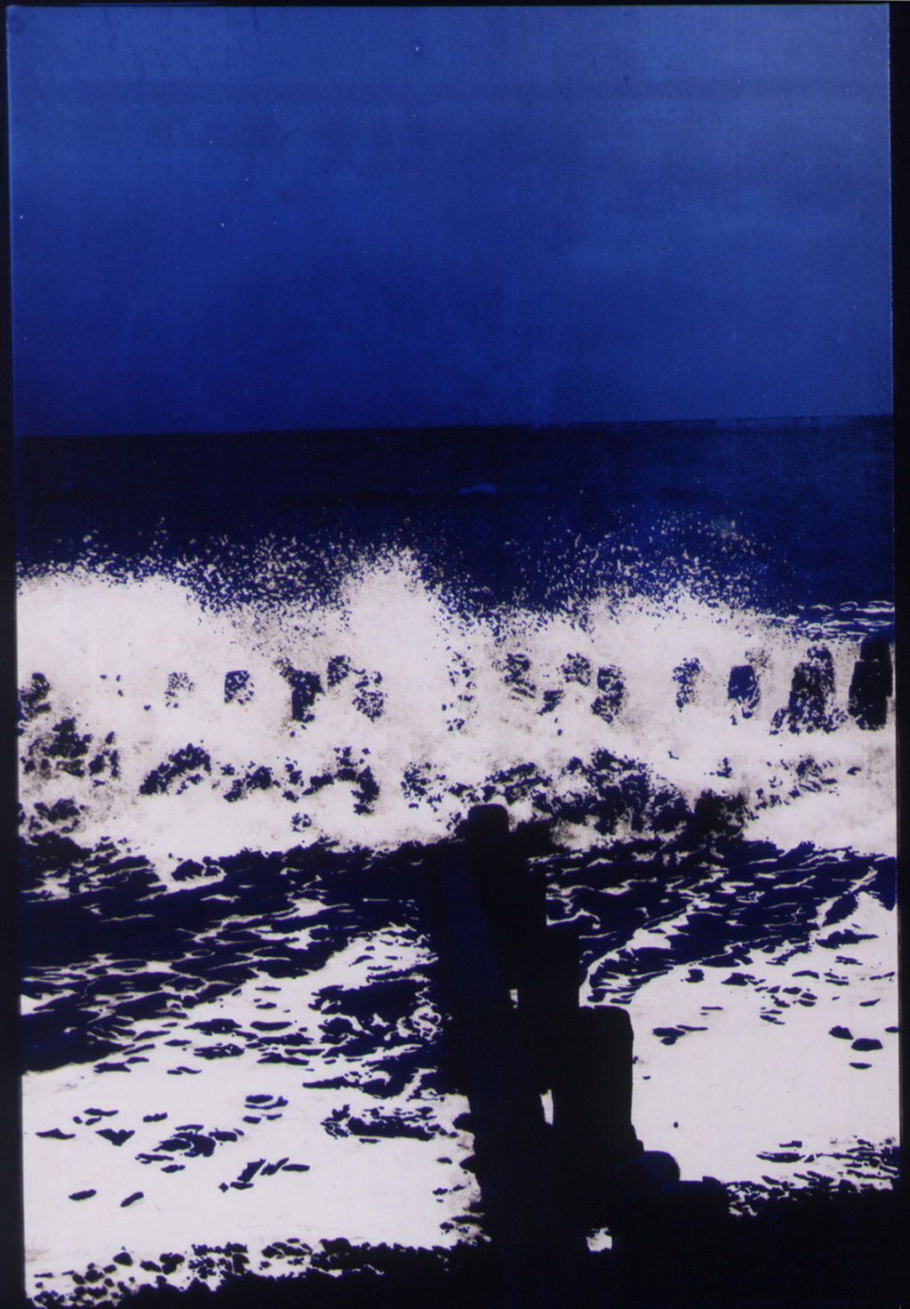 Sea Shore main image