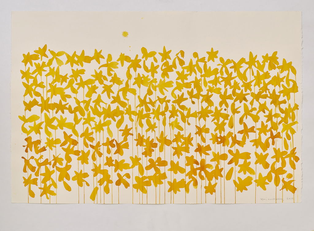 Daffodils main image