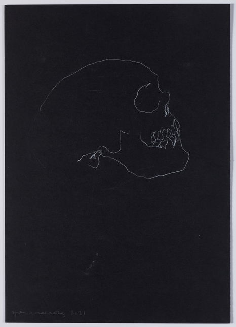 Skull Study main image