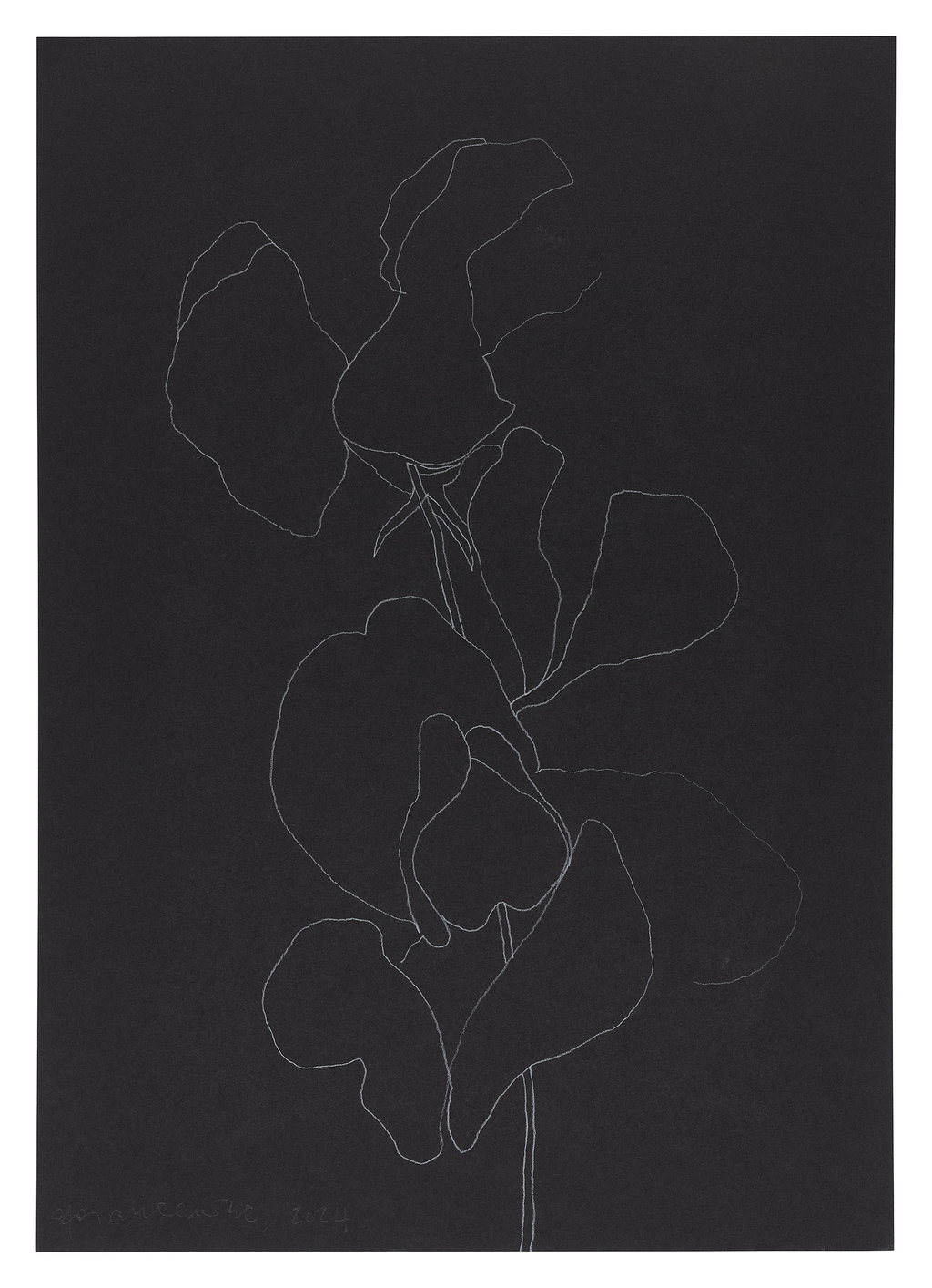 Untitled main image